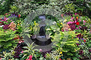 Flower bed, Butchart Gardens, Victoria, Canada