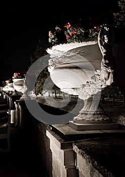 Flower bed, Chenonceau