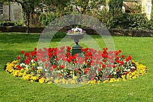 Flower Bed in a Formal Garden