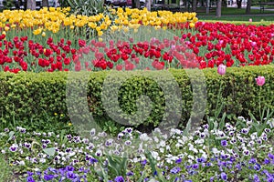 Flower bed in formal garden