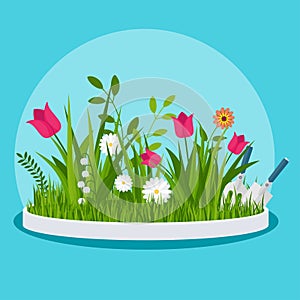 Flower bed in the front garden