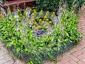 A flower bed in the garden.