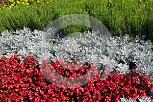 A flower bed of gray and red colors