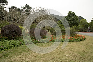 Flower bed,lawn and plants arranged in Qingxiu mountain spring