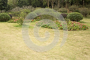 Flower bed , lawn and plants in Qingxiu mountain