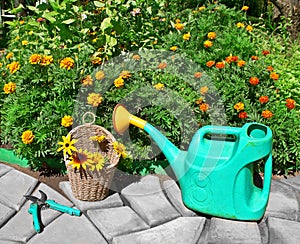 A flower bed with marigolds. Watering can and secateurs on the b