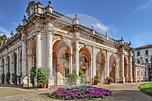 Flower bed in Montecatini Terme photo