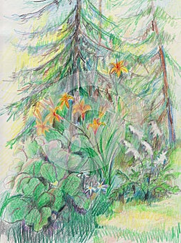 flower bed near the forest