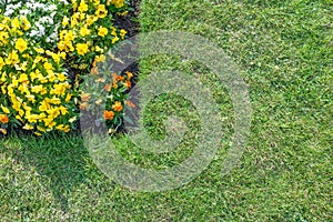 Flower bed with orange, yellow & white flowers surrounded by green lawn