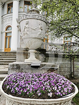 A flower bed with a pink viola next to the vase of the Elaginoostrovsky Palace in the park on Elagin Island in St.Petersburg