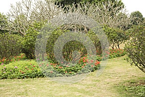 Flower bed and plants arranged in Qingxiu mountain spring