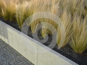 flower bed raised stipa capillata tenuissima dry gravel concrete pavement