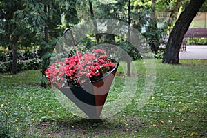 A flower bed of red flowers of unusual shape. Flower bed in the form of an umbrella