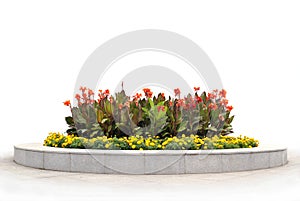 The flower-bed with red and yellow flowers