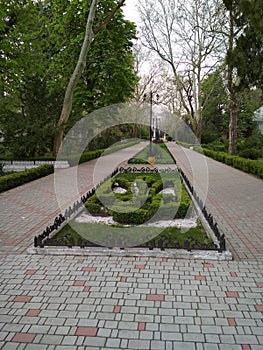 Flower bed in sanatorium Odesa in Odessa, Ukraine