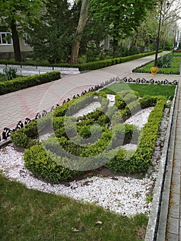 Flower bed in sanatorium Odesa in Odessa, Ukraine