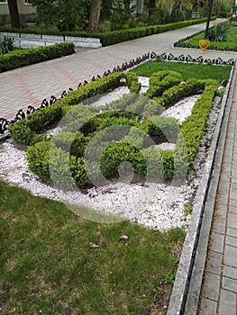 Flower bed in sanatorium Odesa in Odessa, Ukraine photo