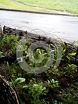 Flower bed of triangle type