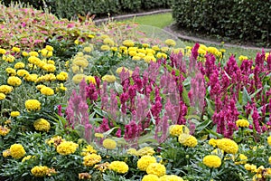 Flower bed in Tugu Negara Monument, Kuala Lumpur, Malaysia