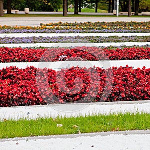 Flower beds