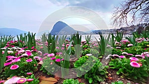 The flower beds in Ciani Park, Lugano, Ticino, Switzerland