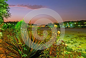 The flower beds in evening park, Isfahan, Iran