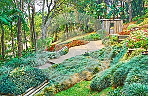 Flower beds of grasses in Mae Fah Luang garden, Doi Tung, Thailand