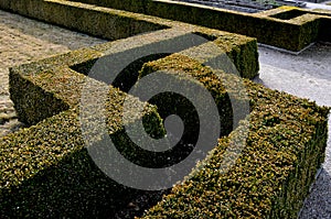 Flower beds in the monastery garden at the castle, park paths of bright colors. cut summer castle parterre with boxwood hedges hon