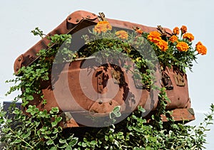 Flower beds in an old suitcase (travel, travel, travel agency, d