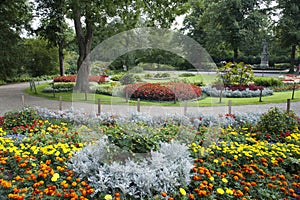 Flower Beds in Park, richly flowering flower bed in Tiergarten Park, Berlin photo