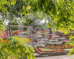 Flower beds and pathways around Stapenhill Gardens Staffordshire