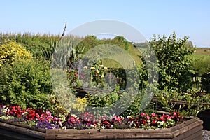 Flower beds in sensory garden, Pilling, Lancashire