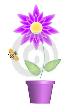 Flower and Bee Purple