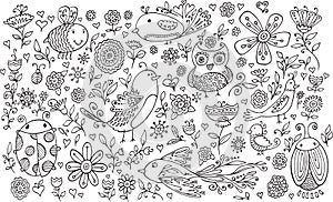 Flower Bird Doodle Vector Set