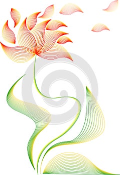 Flower, blended floral ornament