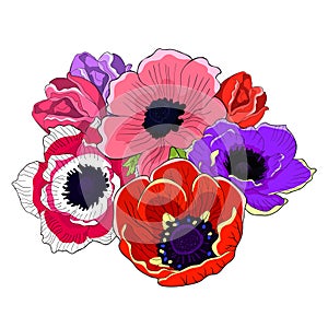The flower bloom japanese anemone. vector illustration