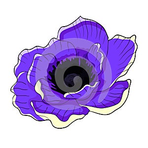 The flower bloom japanese anemone. vector illustration