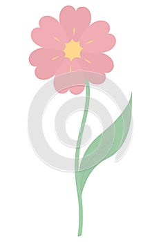 Flower. A blooming bud with a yellow core. Flowering plant with pink petals. Color vector illustration.