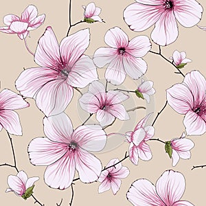 Flower blossom illustration