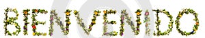 Flower And Blossom Letter Building Word Bienvenido Means Welcome photo