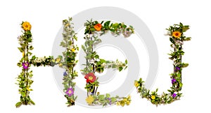 Flower And Blossom Letter Building Word Hej Means Hello photo