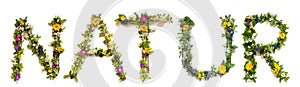 Flower And Blossom Letter Building Word Natur Means Nature