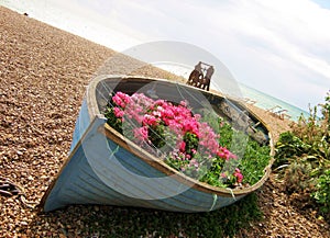 Flower boat