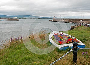 Flower Boat view of Wicklow Ireland Harbor and Lighthouse