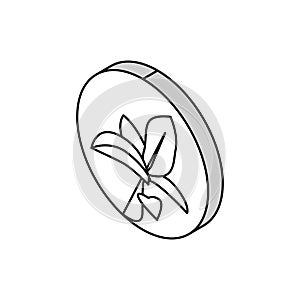 flower boho isometric icon vector illustration