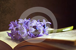 Flower and book on dark grunge background