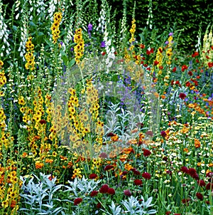 Flower border with colourful plant combinations