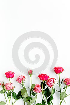 Flower border frame made of red roses on white background with copy space for text. Valentine`s background. Floral