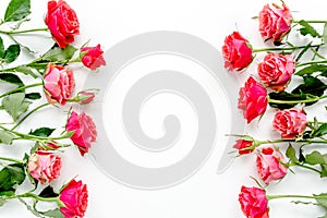 Flower border frame made of red roses on white background with copy space for text. Valentine`s background. Floral