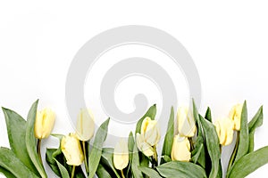 Flower border frame made of yellow and beige buds tulip on a white background. The apartment lay, top view. Floral